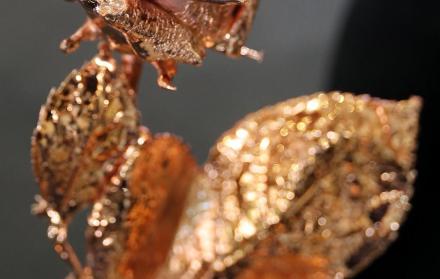 Ecuagarden. Flor bañada en bronce. La empresa también producirá flores con baños en plata y oro.