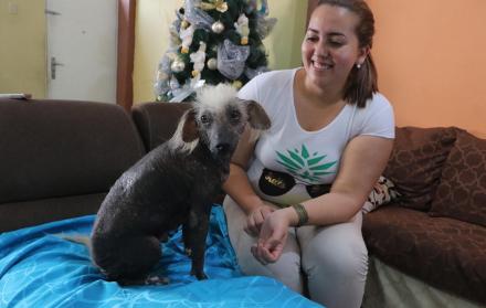 En casa. Se llama Peluca, por su particular mostacho. Su raza es desconocida en un barrio del suburbio.