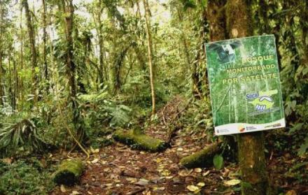 Ambiente. La protección de áreas naturales aumentó en un 8 %.