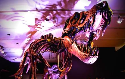 tiranosaurio-rex-stan-subasta-christies-dinosaurio-foto