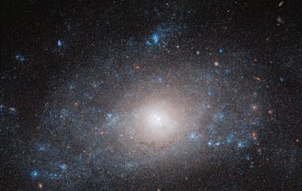 La galaxia NGC 5585