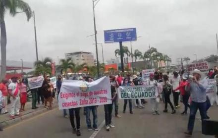 El lunes, cañicultores protestaron en Guayaquil.