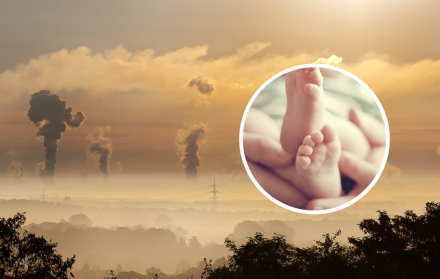 La polución también puede afectar a las embarazadas y sus fetos.