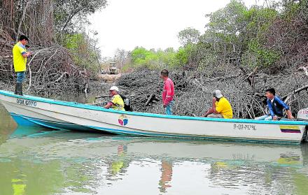 Escenario. Custodios observan una retroexcavadora en un sector del golfo de Guayaquil. La tala de manglar sigue, pese a que ya se denunció.