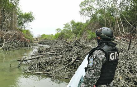 Hecho. Un agente del GIR observa una tala de manglar en el golfo.