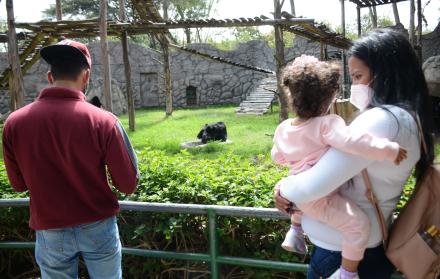 ZOOLOGICO GUAYLLABAMBA(32940753)