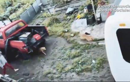 En redes sociales circuló un video de un supuesto maltrato animal.