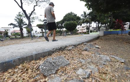 GARZOPAR, CAMINERAS (33328063)