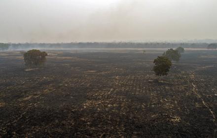 De acuerdo con los expertos, la mayoría de los incendios son provocados por la deforestación de la selva, causada principalmente por la minería ilegal y el comercio ilícito de madera.