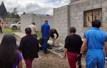 Perros envenenados - Pifo - Quito