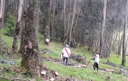 Urkupamba Quito protesta 1
