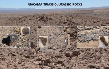 Imagen cedida por Guillermo Chong y Laura Sánchez-García de los afloramientos de carbonatos marinos del Triásico-Jurásico en el Desierto de Atacama (Chile).