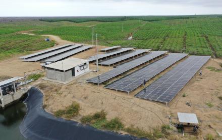 paneles solares+agricultura