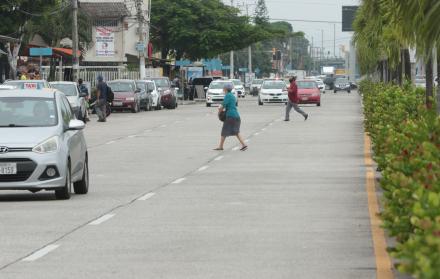avenida 1