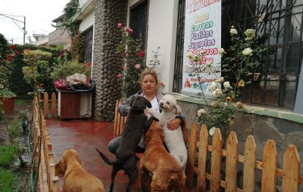 Mascotas_Ambato_Albergues
