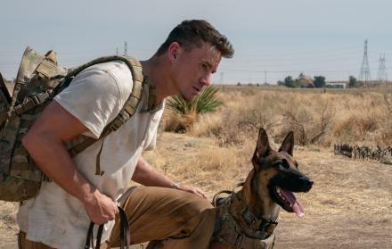 Fotograma cedido por Metro Goldwyn Mayer donde aparece Channing Tatum como Briggs y el pastor belga Lulu, durante una escena de la película