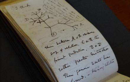 cuadernos del naturalista Charles Darwin