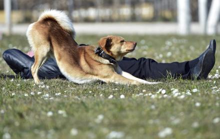 En la imagen de archivo, un perro se estira junto a su dueño mientras disfrutan del soleado día en un prado de Fráncfort del Meno (Alemania).