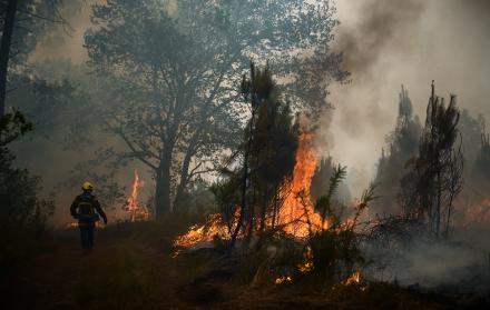Imagen del incendio en Louchats (Francia).