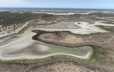 La laguna permanente más grande del Parque Nacional de Doñana (suroeste de España), ha terminado por secarse completamente por la falta de lluvia, el calor y la sobreexplotación del acuífero.