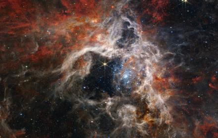 Nebulosa de Tarántula