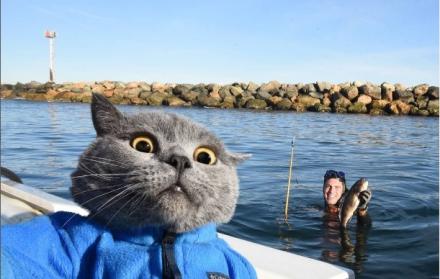 Sociedad_Mascotas_Redes sociales_Gatos