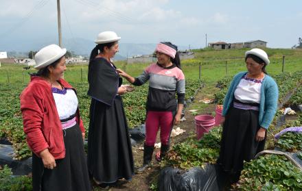 Intercultural_Tungurahua_Etnia kichwas_Chibuleo