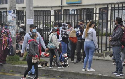 Sociedad_Mascotas_Ordenanza animalista_Ambato