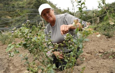 89035c02-0027-4817-be59-73d7b3062d63