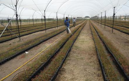 18de5a9c-dddb-4ac7-a9a6-51699560a66e