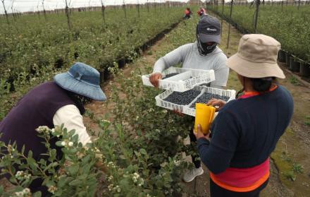 6af12549-2925-4900-b4b7-579fdf000b95