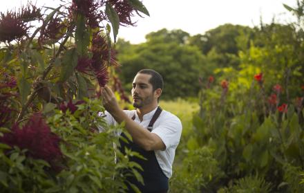 rodrigo pacheco chef