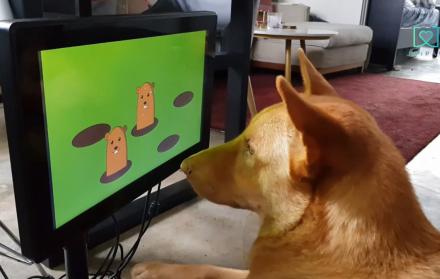 Videojuegos para perros