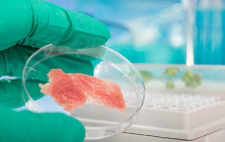 La carne de pollo 'in vitro' ya se comercializa