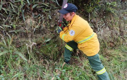 minga bomberos