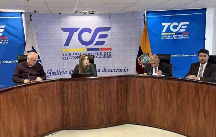 TCE- Hervas- elecciones