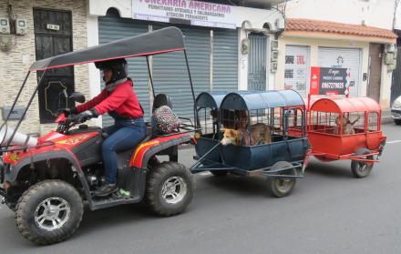 Mascotas_Riobamba_Tren canino