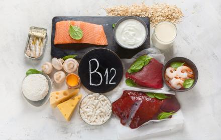 Alimentos que contienen vitamina B12
