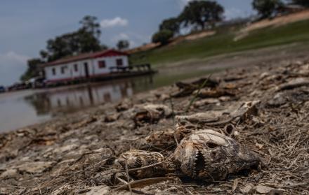 La severa sequía en la Amazonía brasileña