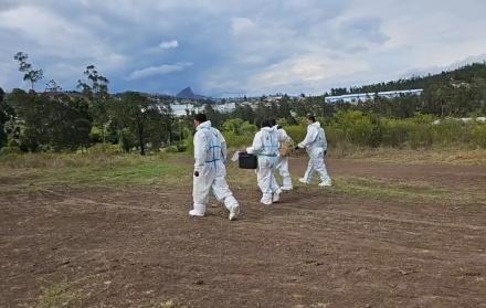 La joven fue hallada sin vida este jueves 16 de noviembre.