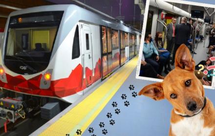 Información. El Municipio de Quito detalló que es permitido el acceso de mascotas al Metro, siempre y cuando pesen menos de 10 kilogramos.