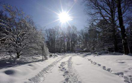 El cambio climático ha reducido el manto de nieve desde la década de 1980