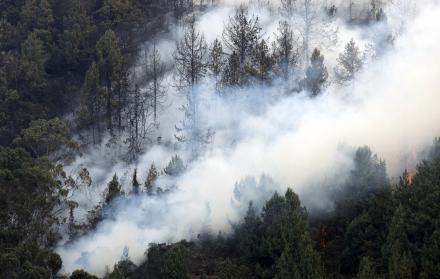 Fotografía de un incendio forestal hoy, en el cerro El Cable, en Bogotá (Colombia).