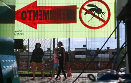 Brasil supera el medio millón de casos de dengue en lo que va de este año