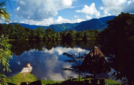 La ONU premia a un proyecto medioambiental peruano que rehabilita bosques en los Andes