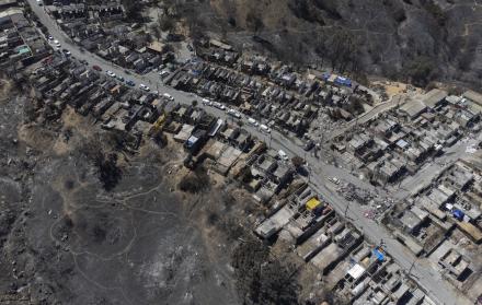 Gobierno de Chile destinará 500.000 dólares para restaurar Jardín Botánico tras incendios