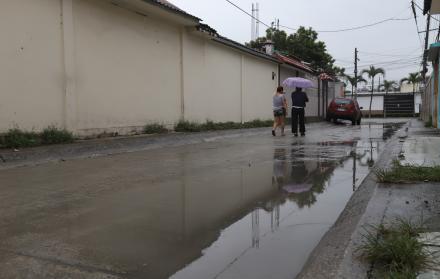 Guayacanes aguas estancadas