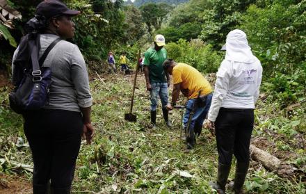 Recuperan cinco cuerpos de personas desaparecidas durante el conflicto colombiano