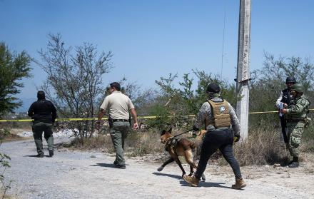 Hallan al menos cinco cuerpos calcinados en cementerio clandestino en el norte de México