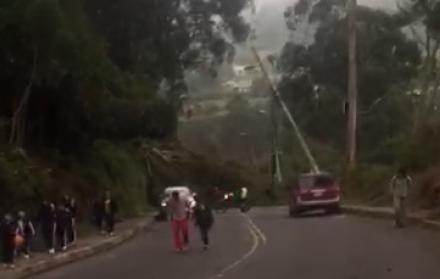 La caída de un árbol provocó el cierre de la vía a Guangopolo, en el valle de Los Chillos.